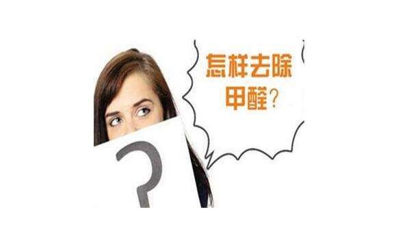 ?硅藻泥真的可以除甲醛嗎？