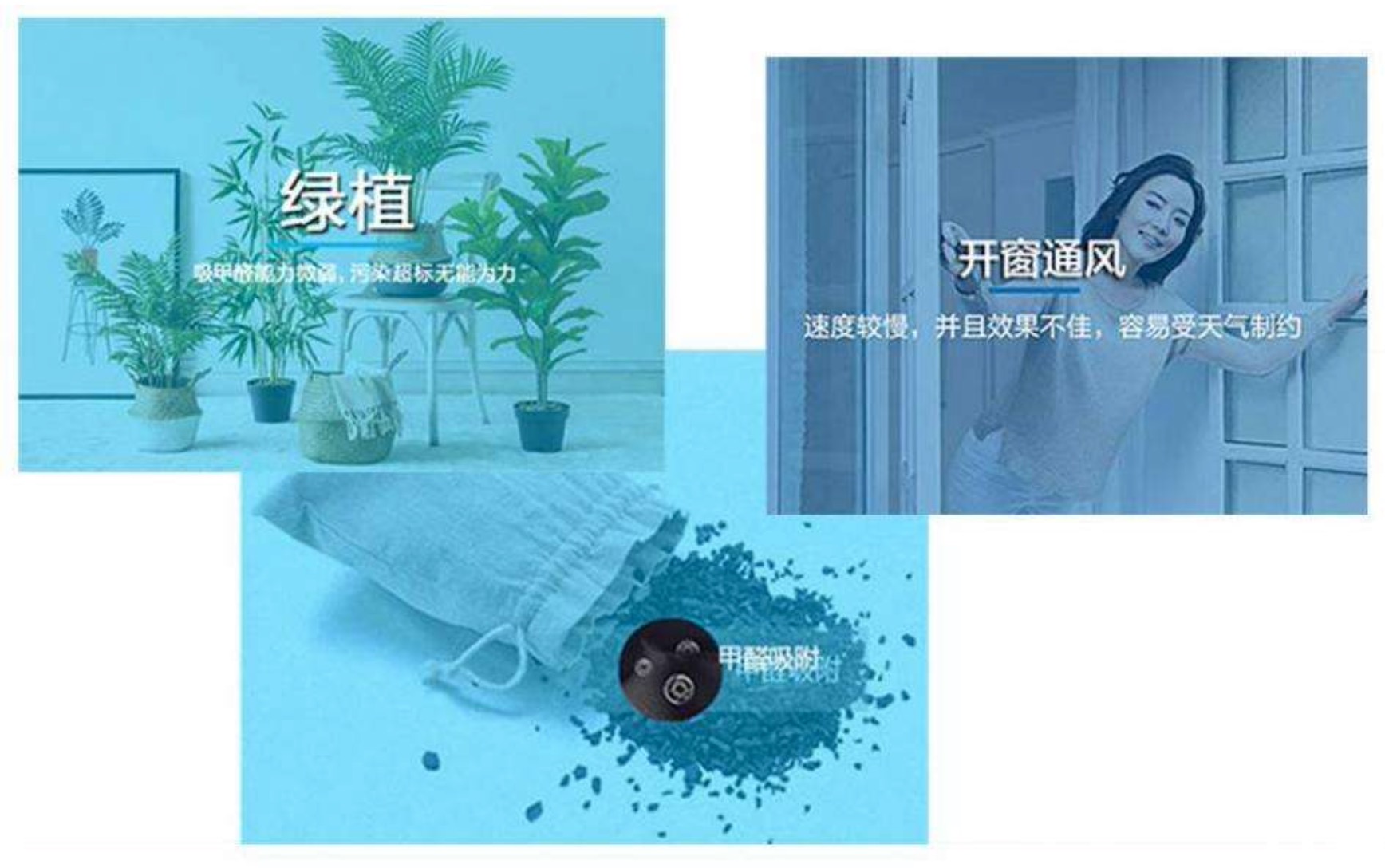 怎樣能快速除甲醛？