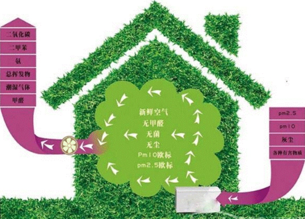 除甲醛的產(chǎn)品有哪些？