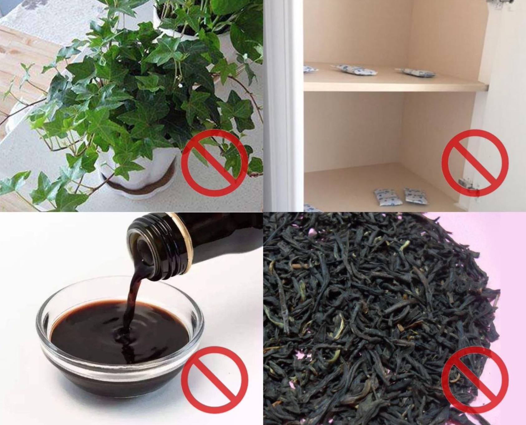 除甲醛用什么東西比較快？
