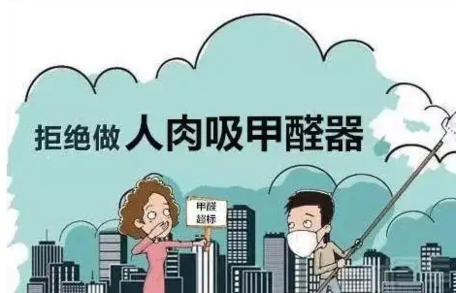 家里剛裝修好，放什么東西能吸甲醛？