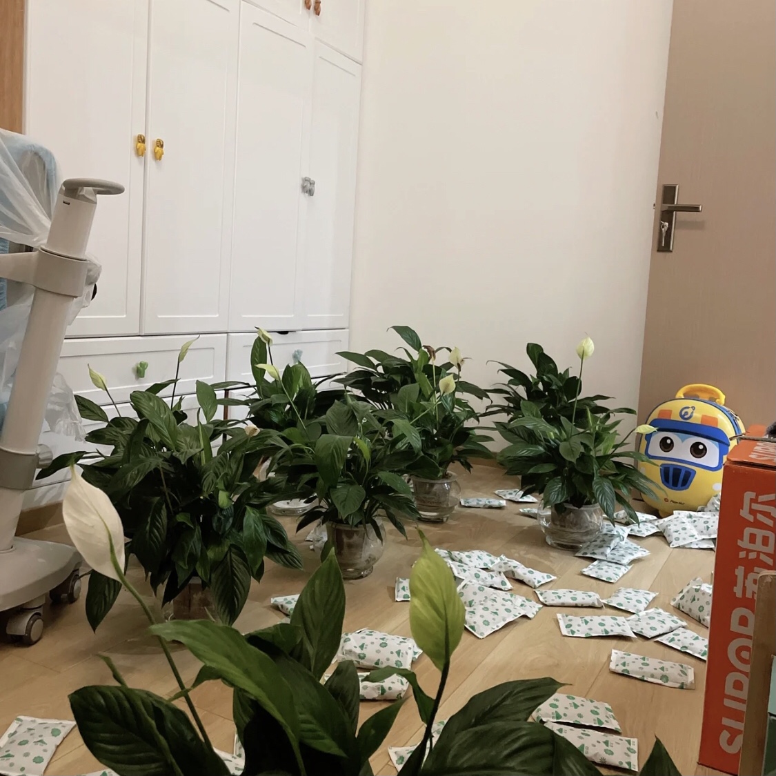 綠植炭包吸甲醛