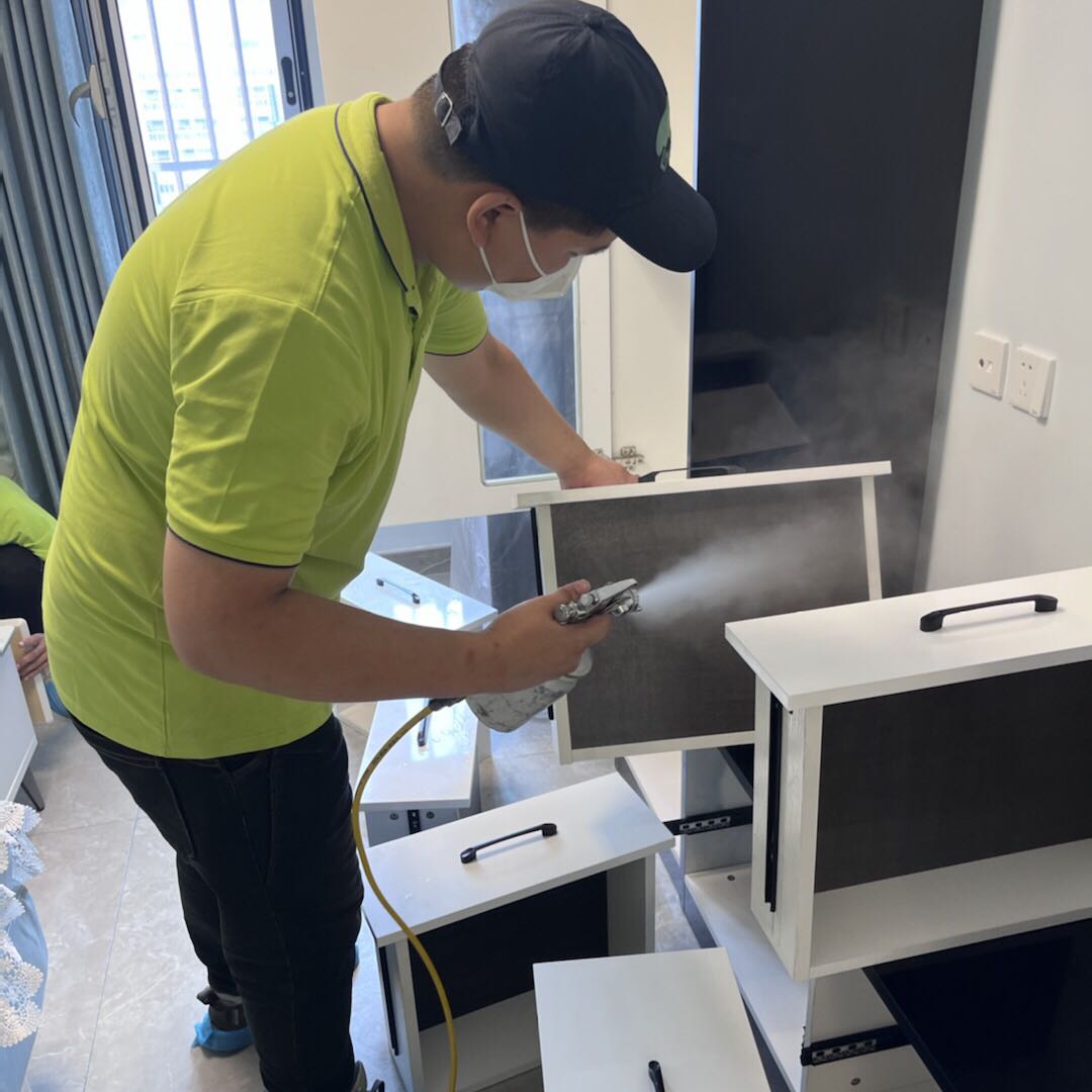 專業(yè)除甲醛