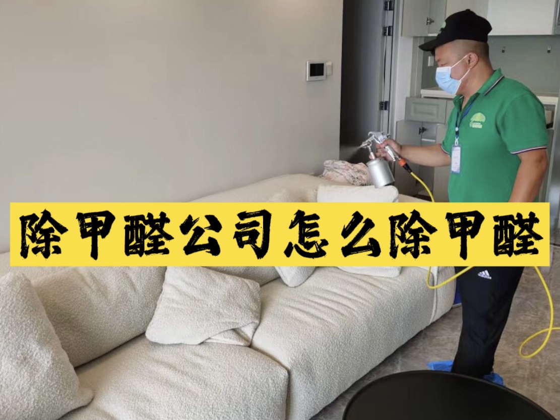 除甲醛公司怎么除甲醛？