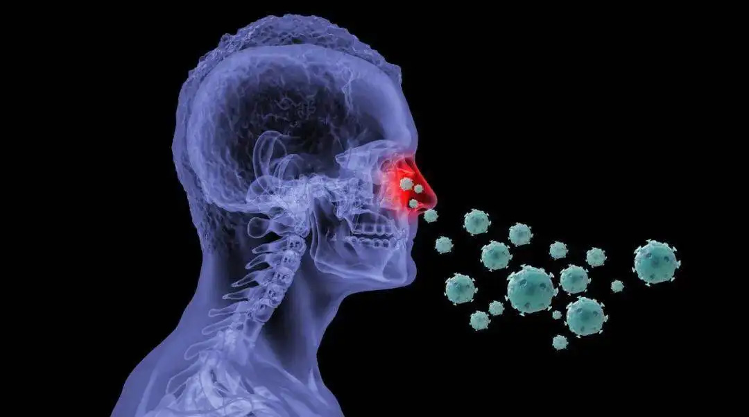鼻病毒感染是什么引起的，日常消毒殺菌有用嗎？