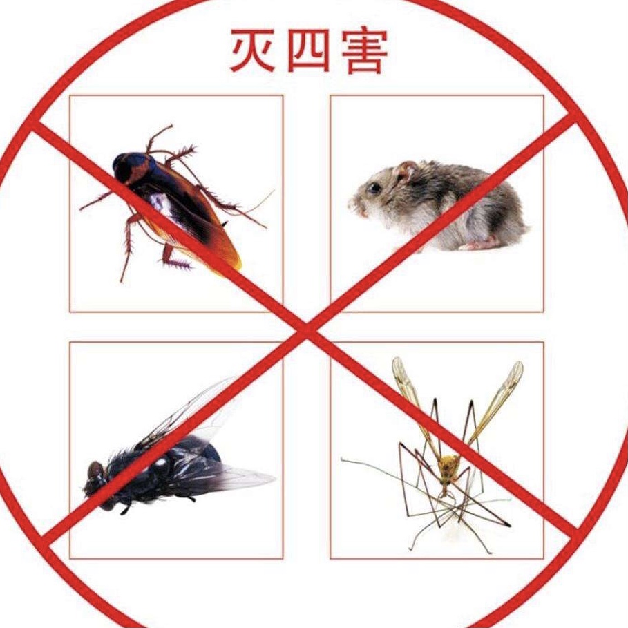 蟑螂、老鼠、白蟻