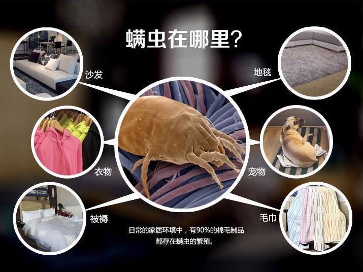 有害昆蟲(chóng)