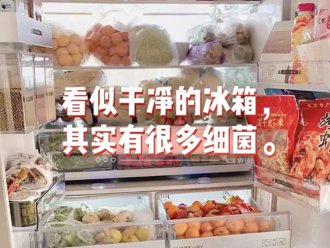 細菌病毒