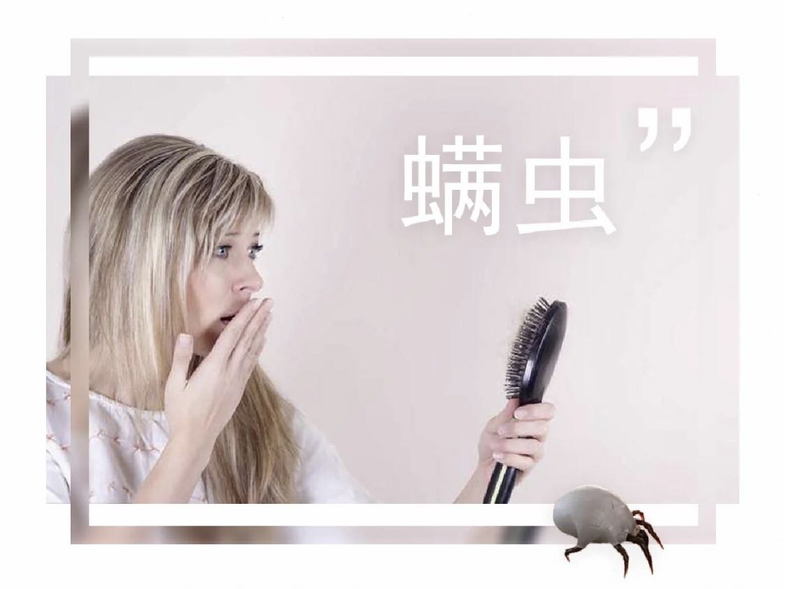 螨蟲、微生物、微塵