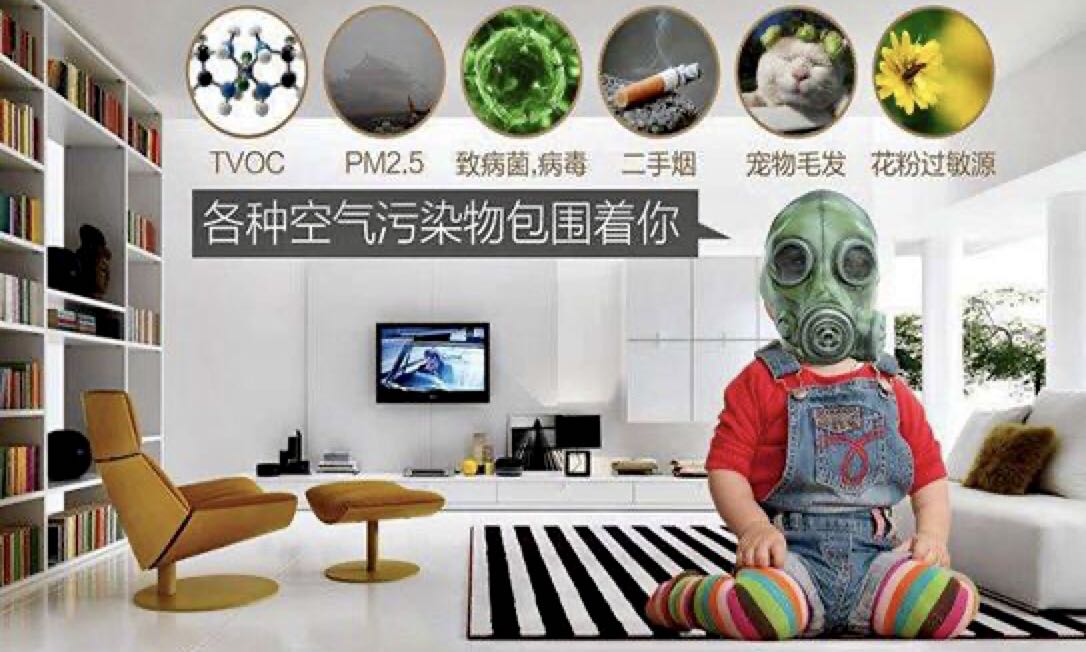 微生物、細(xì)菌、病毒