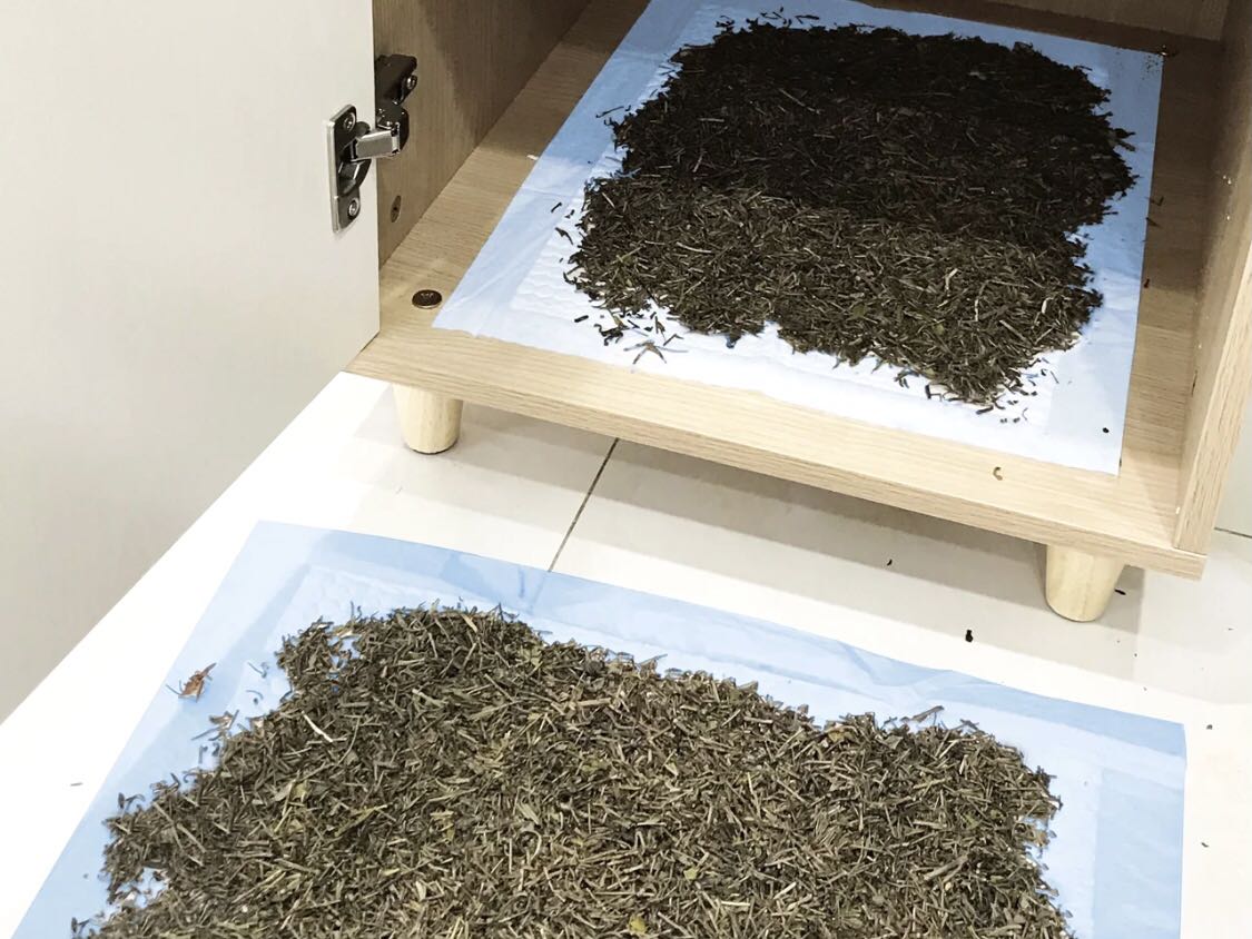 不能，茶葉不能去甲醛。