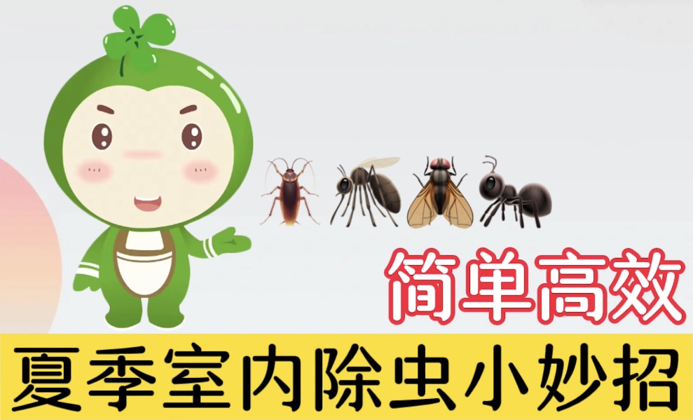 夏季室內(nèi)除蟲小妙招，簡單高效