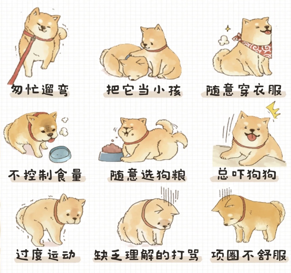 養(yǎng)綠植寵物，這些方面要注意
